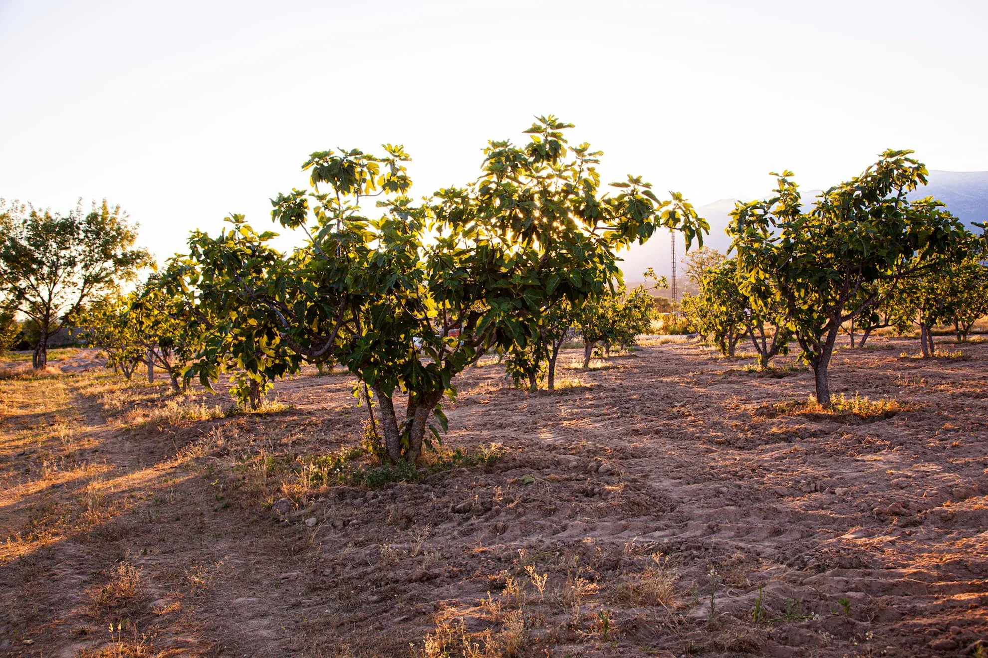 Imagen representativa del equipo